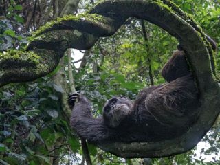 thumbnail - Prêmios Fotografia