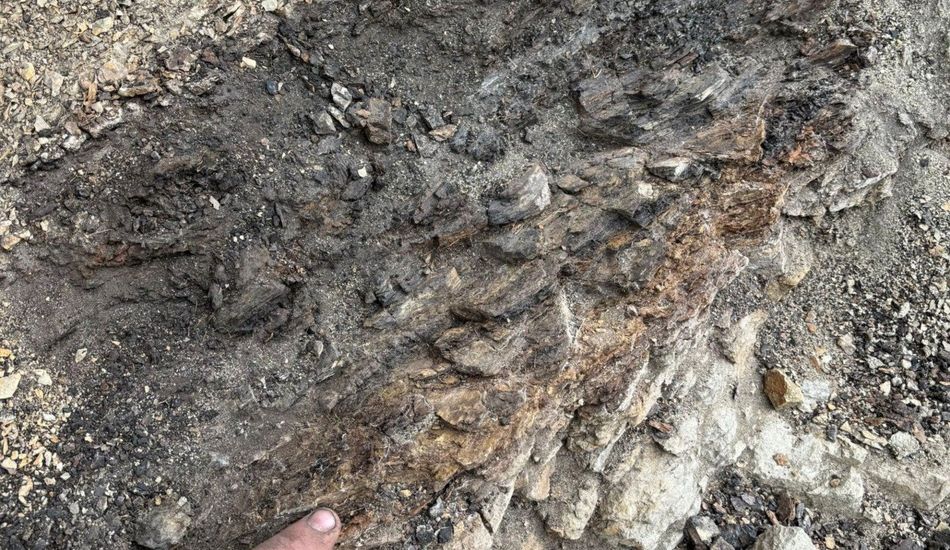 imageExtinção Dinossauros